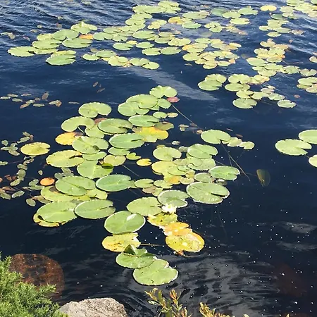 Annie's On The Corner Vakantiehuis