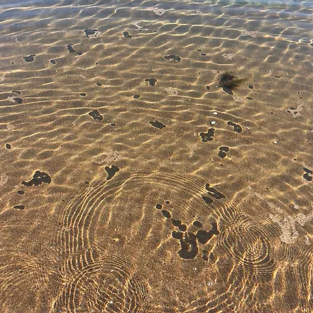 Annie's On The Corner