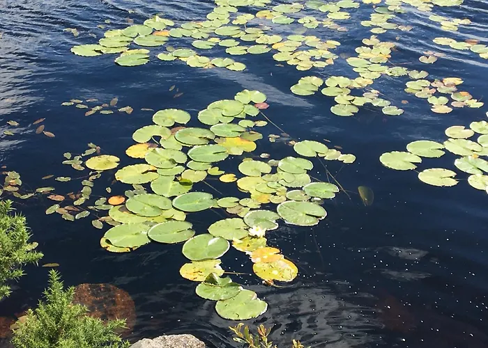 Annie's On The Corner Prázdninový dům