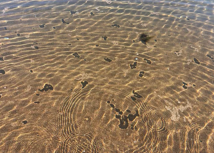 Annie's On The Corner